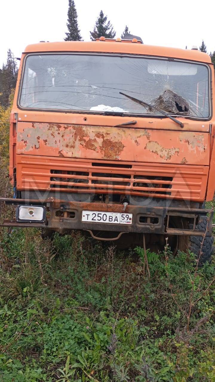 Грузовой автомобиль КАМАЗ-43114 2010 г.в., Пермский край, с. Частые, VIN Х89731911А0ЕК5041