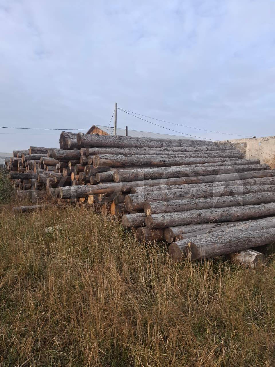 Лес кругляк лиственницы, 146 м³