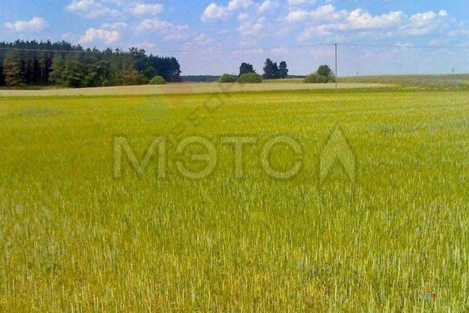 Земельный участок 160 га (с/х назначения), доля 1/24, Саратовская обл., Перелюбский р-н, КН 64:24:160202:116